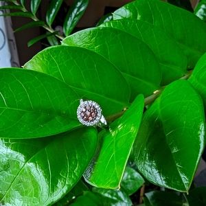 Cubic Zirconia Halo Ring